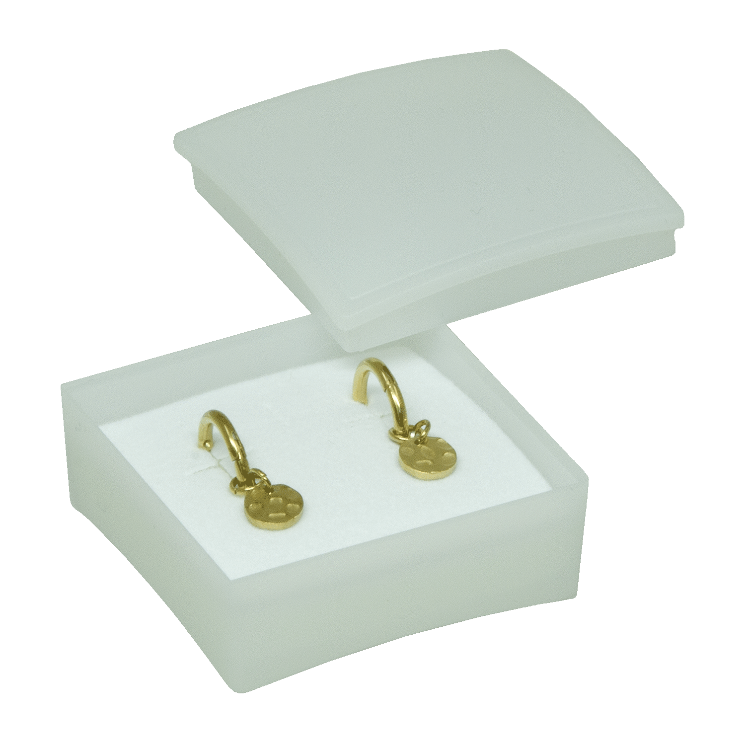 Boîtes plastiques pour boucles d'oreilles