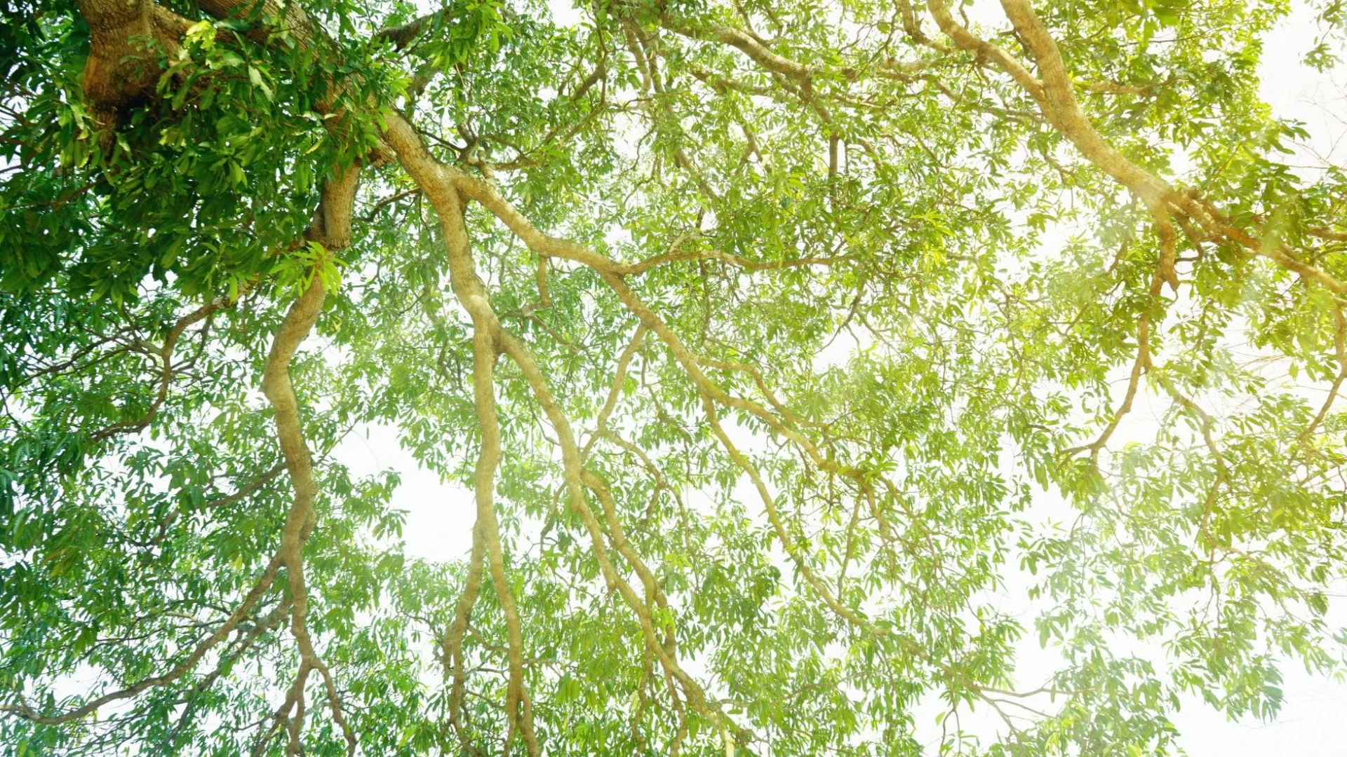 Pour LESER, la durabilité n'est pas qu'un concept.