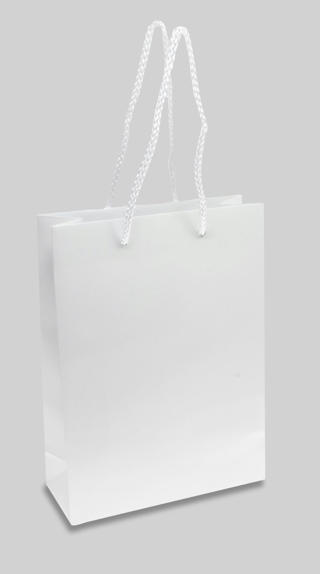 Grands sacs en papier